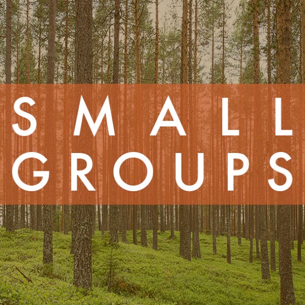 Small Groups