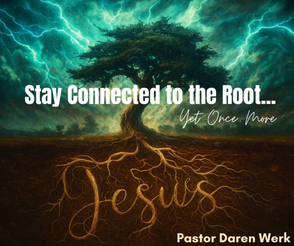 Stay Connected to the Root...Yet Once More