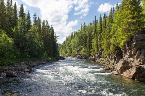 Take Me To The River - January 13, 2019 - Jim Keck - Sermon