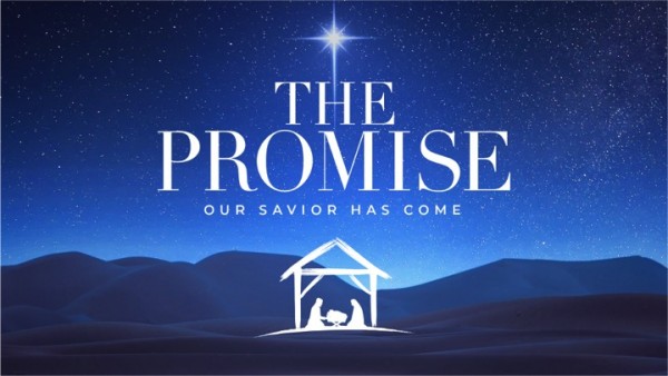 The Promise/La Promesa