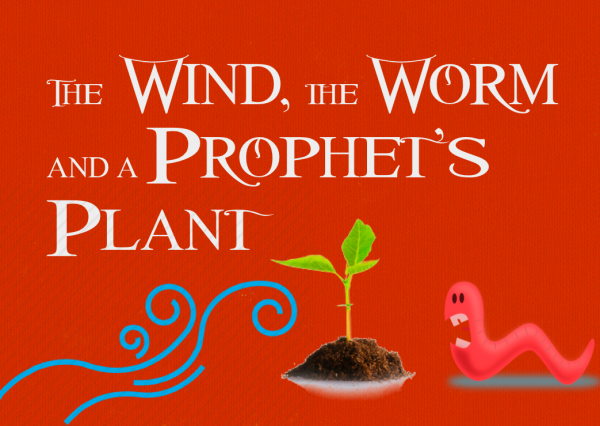 Jonah 4: The Wind, the Worm and a Prophet's Plant 