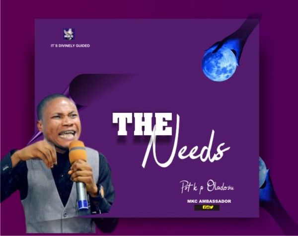 THE NEEDS