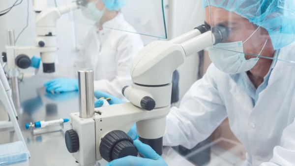 Who owns the virus? 