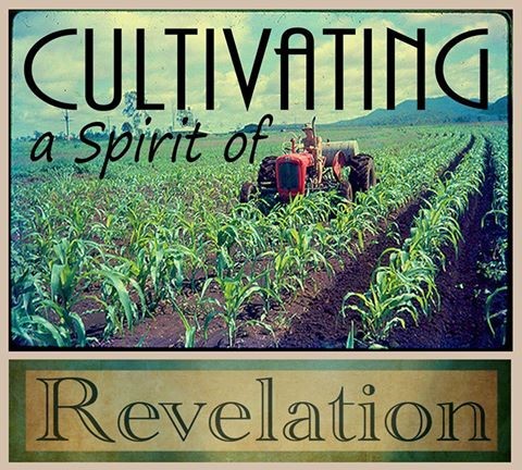 Cultivating the Spirit of Revelation