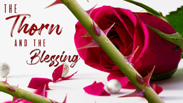 THE THORN & THE BLESSING