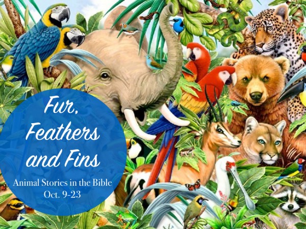 Furs, Feathers, and Fins Part 2: Locker Room Talk