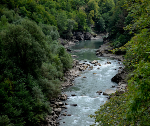 What Happens Beside The River?