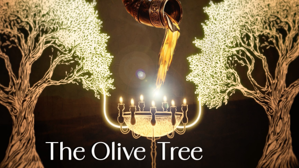 THE OLIVE TREE