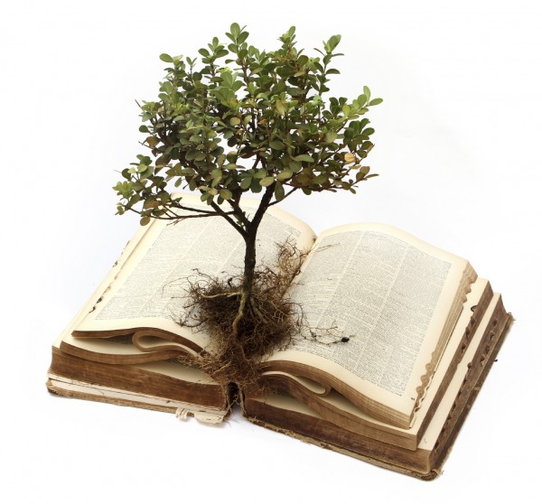 Psalm 2 - let's get political !  or... How should a Christian think about current social issues ?