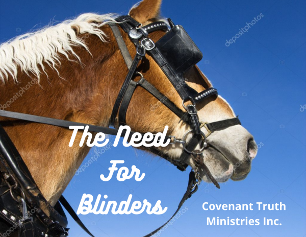 The Need For Blinders