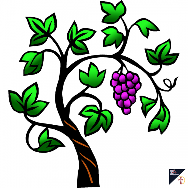 "The Growth Of Fruit..."