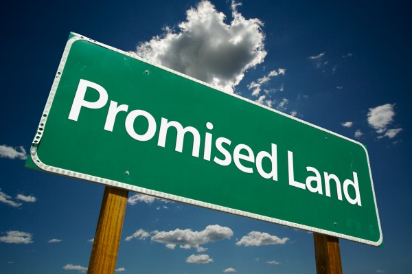 The Promise Land & The Wilderness -February 24th, 2019