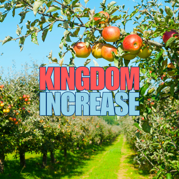 Word for 2025 Kingdom Increase