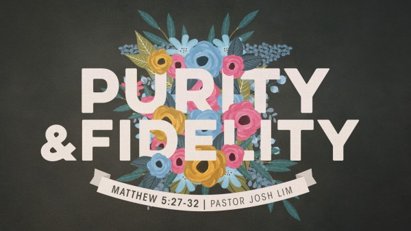 Purity and Fidelity  