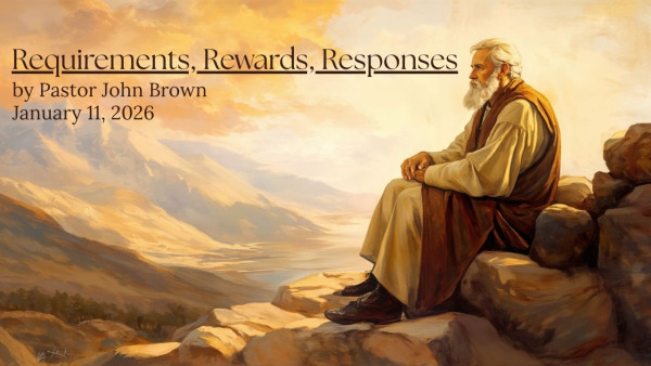 Requirements, Rewards, Responses