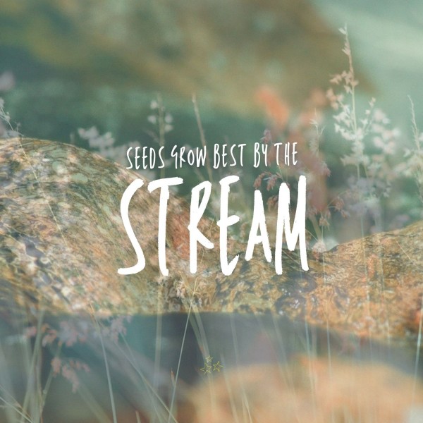  "Seeds grow best by the stream"(Jan 9th, 2022)