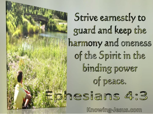 Seek Peace and Pursue It