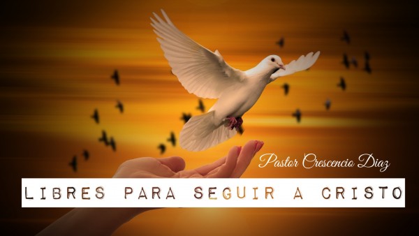 Libres para servir a Cristo 
