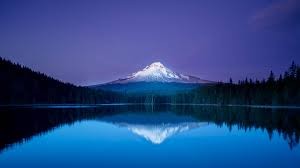 Praise Power Peace in Psalms 