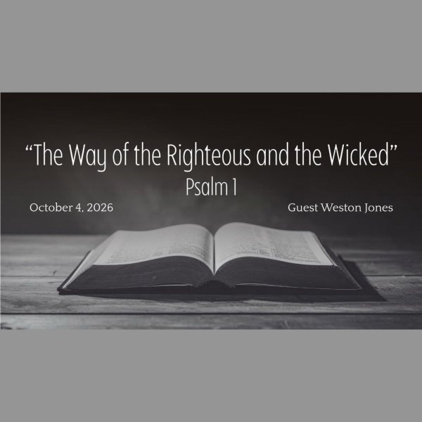 The Way Of The Righteous And The Wicked