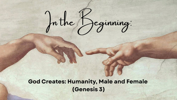 God Creates - Humanity, Male and Female