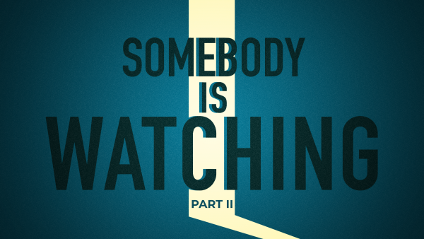 Somebody is watching part 2
