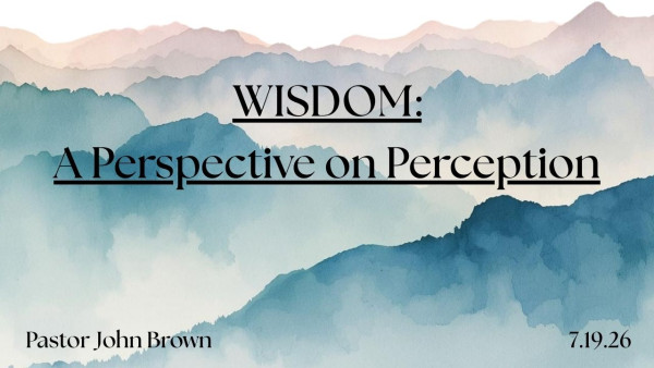 Wisdom: A Perspective On Perception (Part 1)