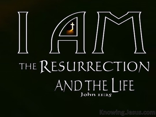 John 11