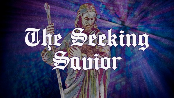 Seeking Savior 2
