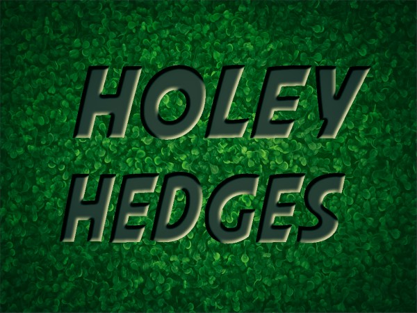 EQUIP Session: Holey Hedges (Pastor Kenny Smith)
