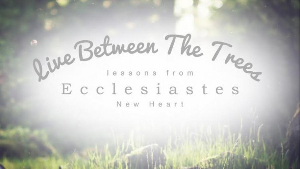 "Loving Life with Both Hands" Ecclesiastes 4:5-6