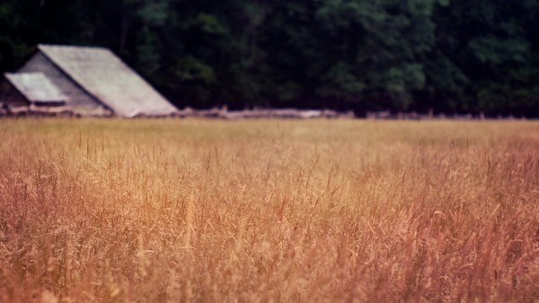 Reaping God's Harvest