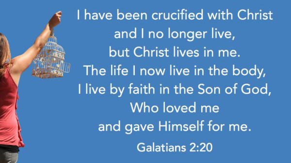 The Life I Now Live In The Body2