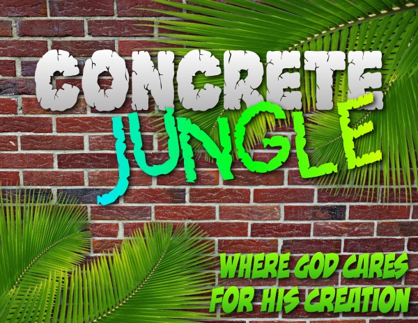 "Welcome to the Jungle!"