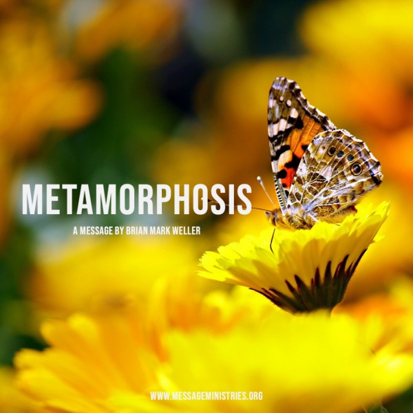 METAMORPHOSIS