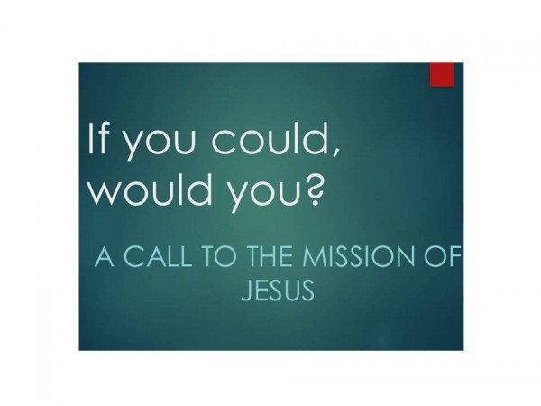 If You Could, Would You -Graceland MInistries Update