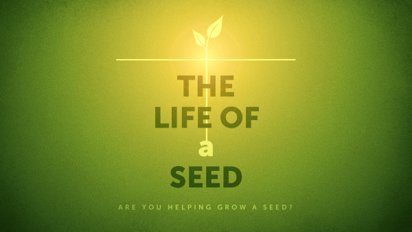 Planting a seed
