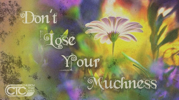 Don't Lose Your Muchness