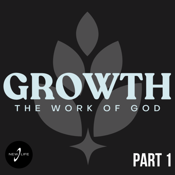 You Were Created to Flourish | A Biblical Path to Spiritual Growth