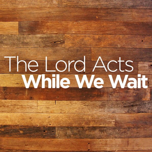 The Lord Acts While We Wait