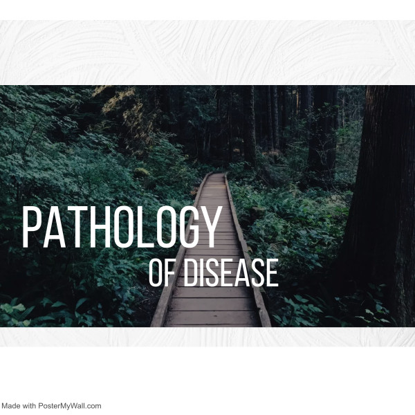 THE PATHOLOGY OF DISEASE