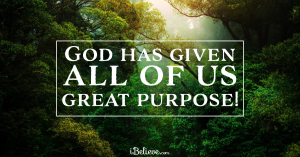 My Determined Purpose