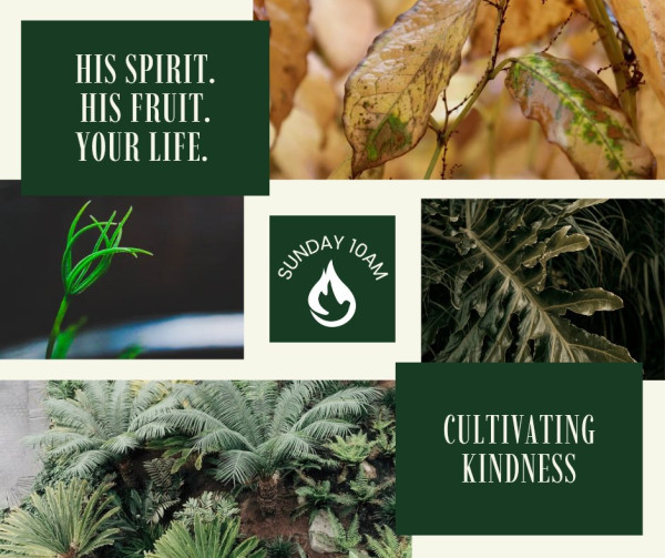 His Spirit, His Fruit, Your Life - KINDNESS