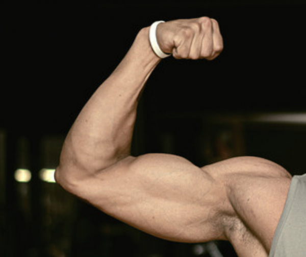 The Strong Arm Of The LORD