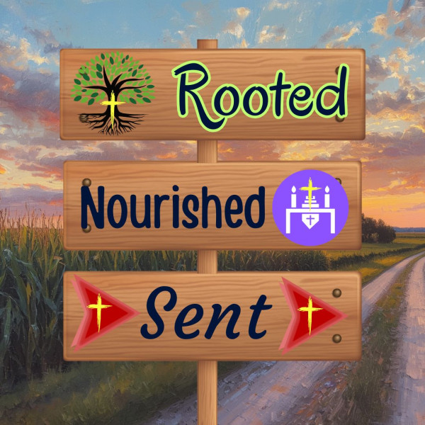 Rooted