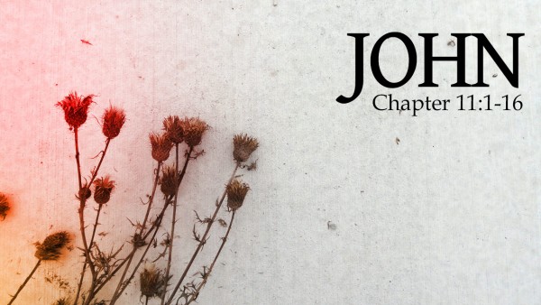John 11:1-16