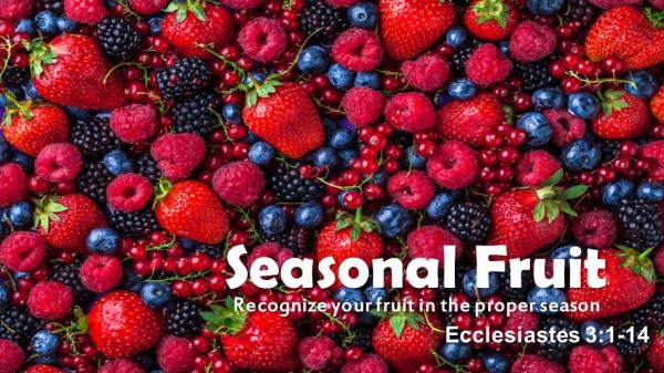 Seasonal Fruit