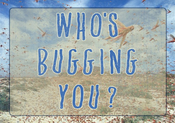 Who's Bugging You? (Pastor Kenny Smith)