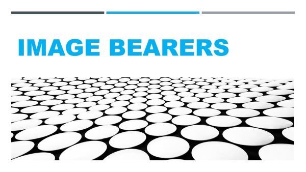 IMAGE BEARERS