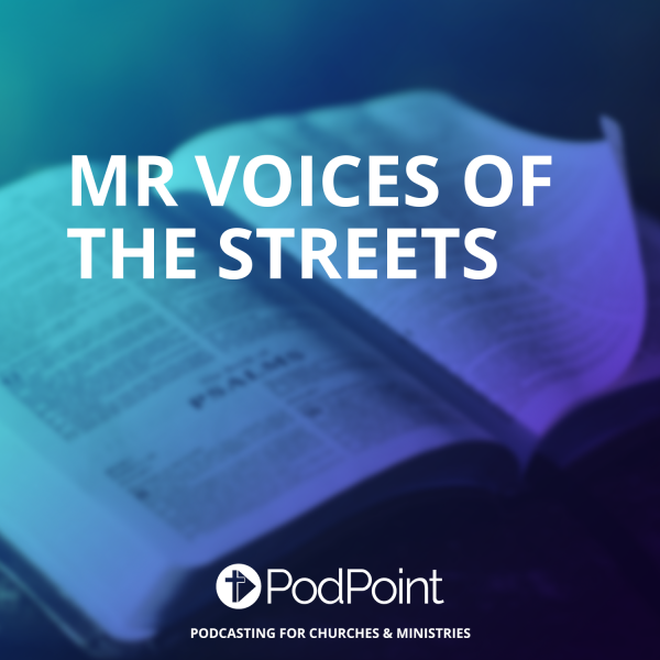 Mr Voices Of The Streets
